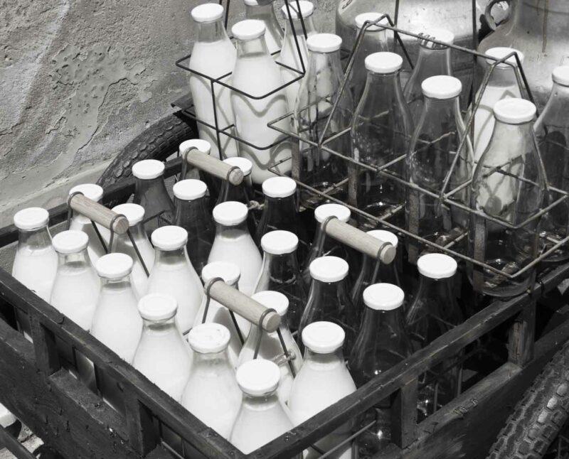 Meadow Gold® Dairy History Page Block 1 Image