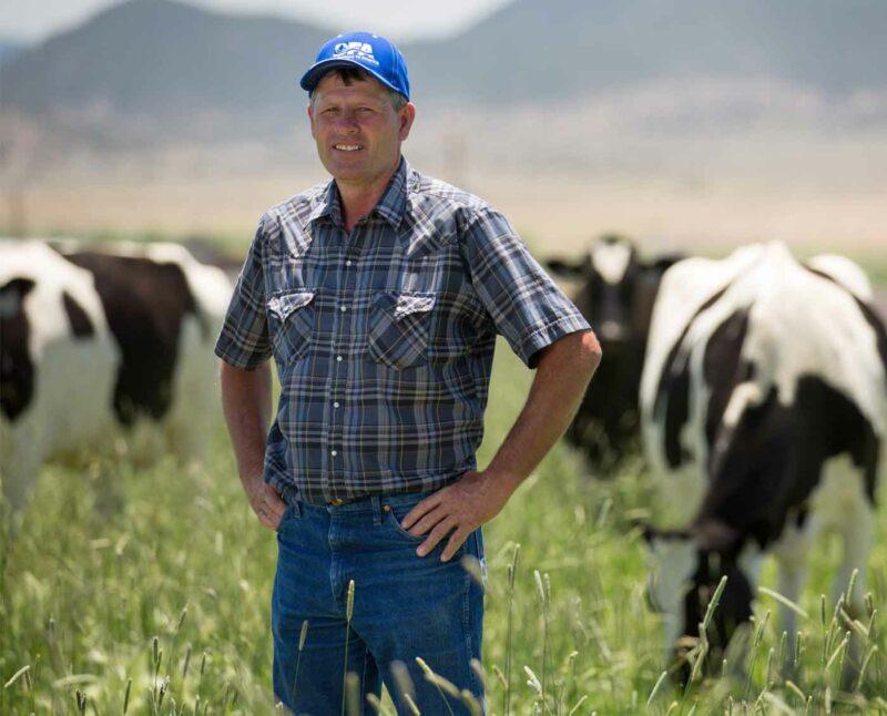 Meadow Gold® Dairy History Page Block 2 Image