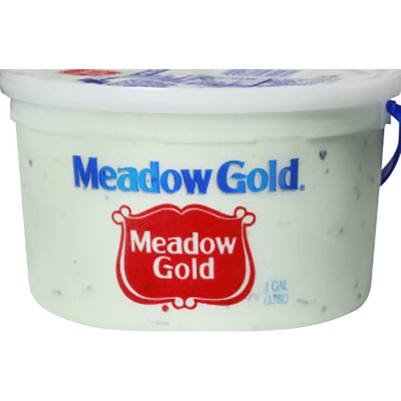 Mint Chip Ice Cream 1 Gallon Meadow Gold® Dairy